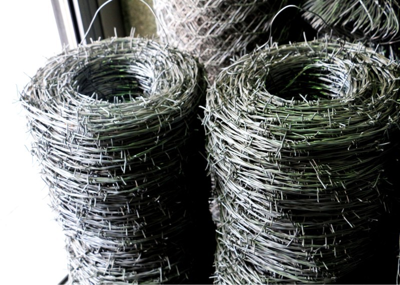 سیم خاردار خطی چیست و چه فرقی با سیم خاردار حلقوی دارد؟